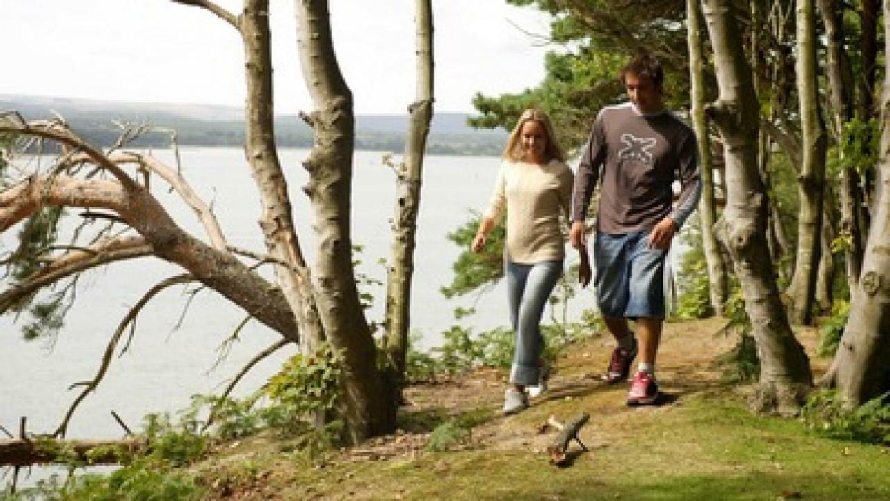 Crow'S Nest Villa Poole Eksteriør bilde